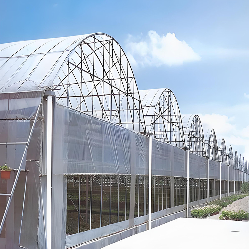 Greenhouse ske (1)