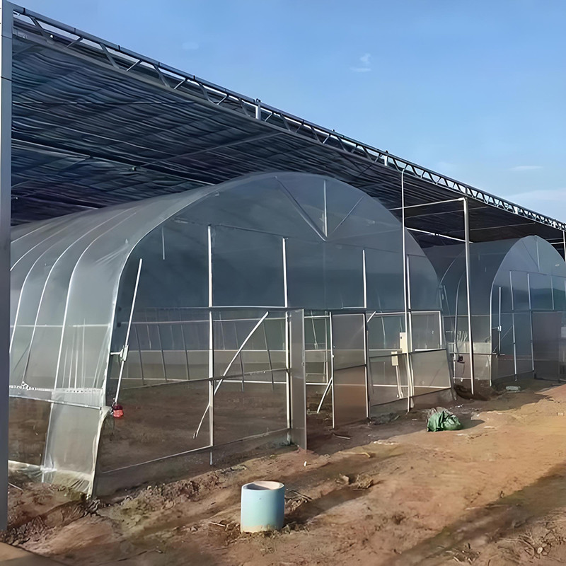 Greenhouse ske (2)
