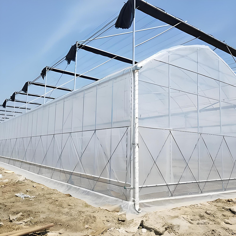 Greenhouse ske (3)