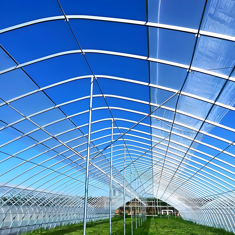 Greenhouse ske (4)